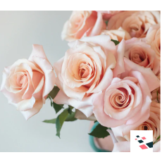 Peachy Pink Mother of Pearl...