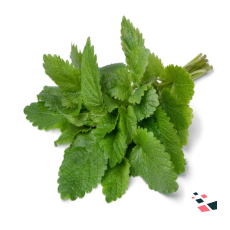 Lemon Balm Seeds