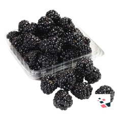 Black berries
