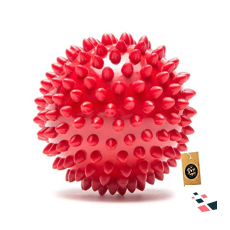  The Pets Company Natural Rubber...