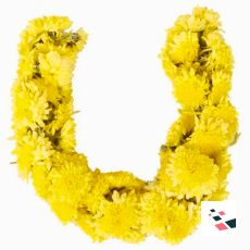 Hoovu Fresh Chrysanthemums Puja...