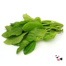 Palak - Organically Grown