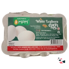 Eggs - White Leghorn
