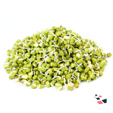 Sprouts-Moong Green