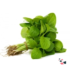 Baby Spinach