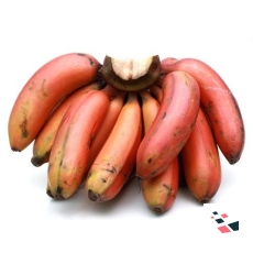Banana - Red - 250 Grams