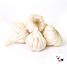 Garlic - Organically Grown