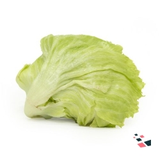 Lettuce - Iceberg