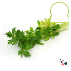 Celery