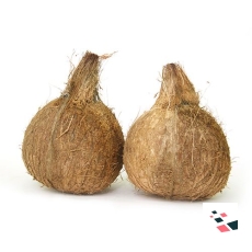 Coconut - Organically Grown - 500...