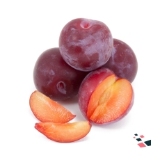 Plum