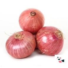Fresho Onion
