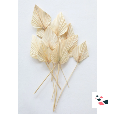 Bundle of Bleached Dried Palm...